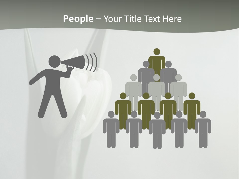 Pure Green Tulip PowerPoint Template