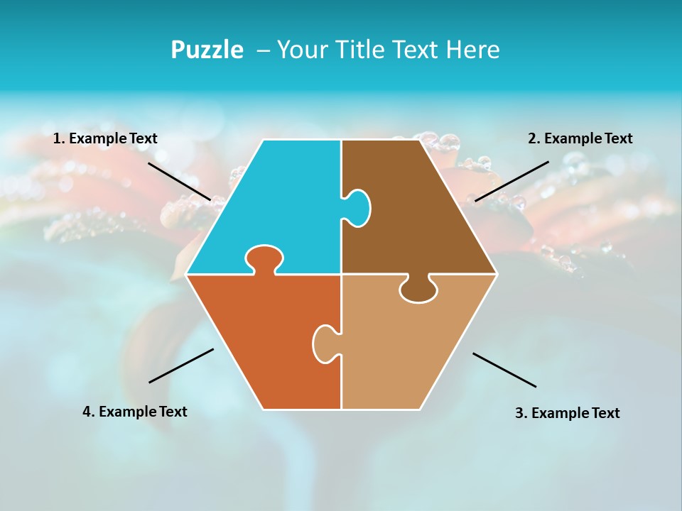 Petal Orange Water PowerPoint Template