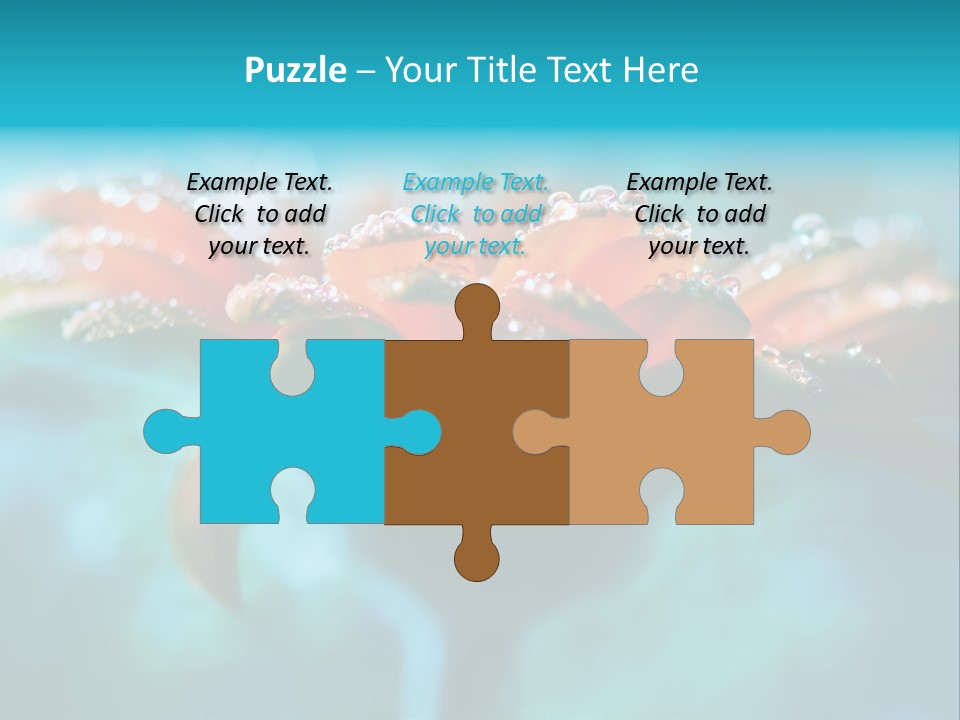 Petal Orange Water PowerPoint Template