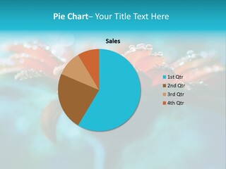 Petal Orange Water PowerPoint Template