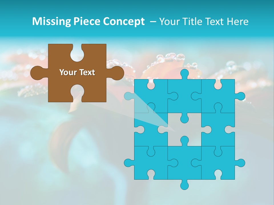 Petal Orange Water PowerPoint Template