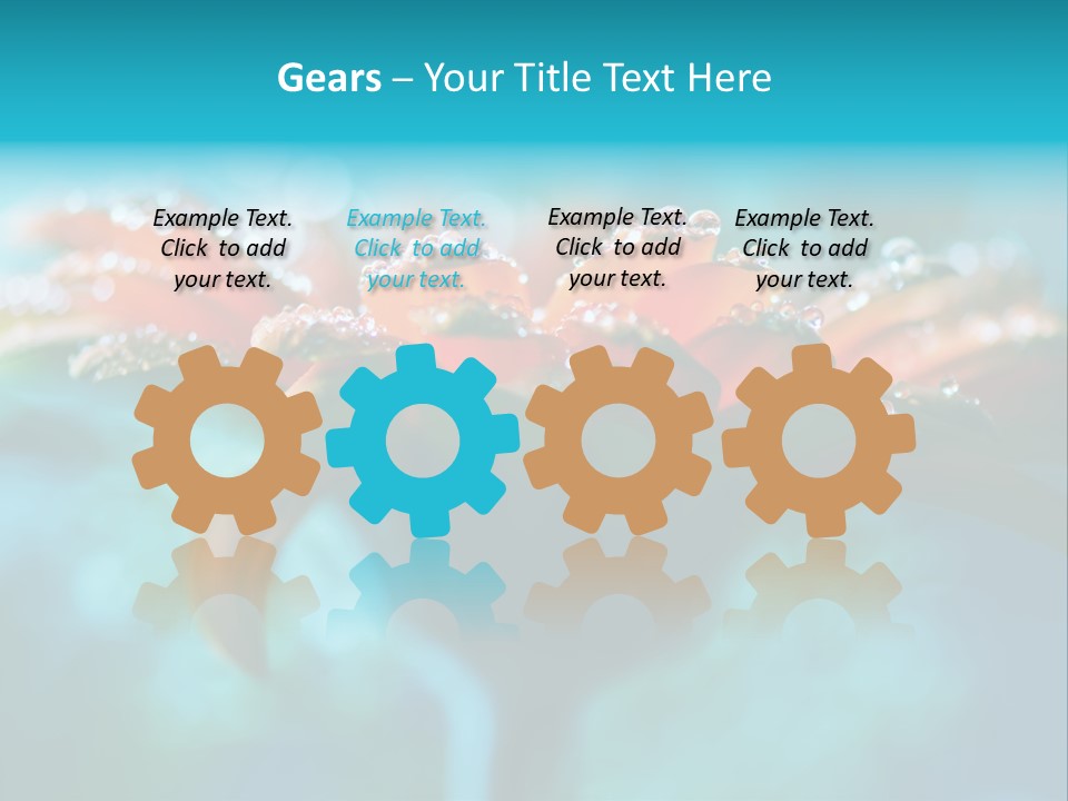 Petal Orange Water PowerPoint Template