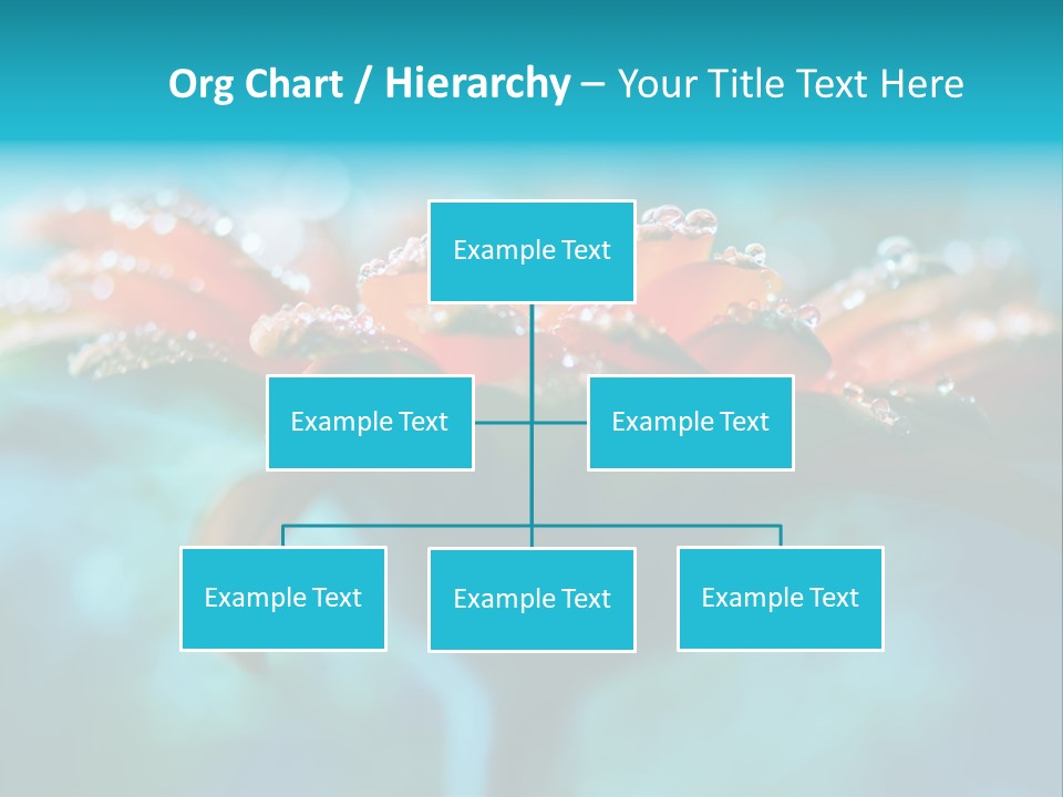 Petal Orange Water PowerPoint Template
