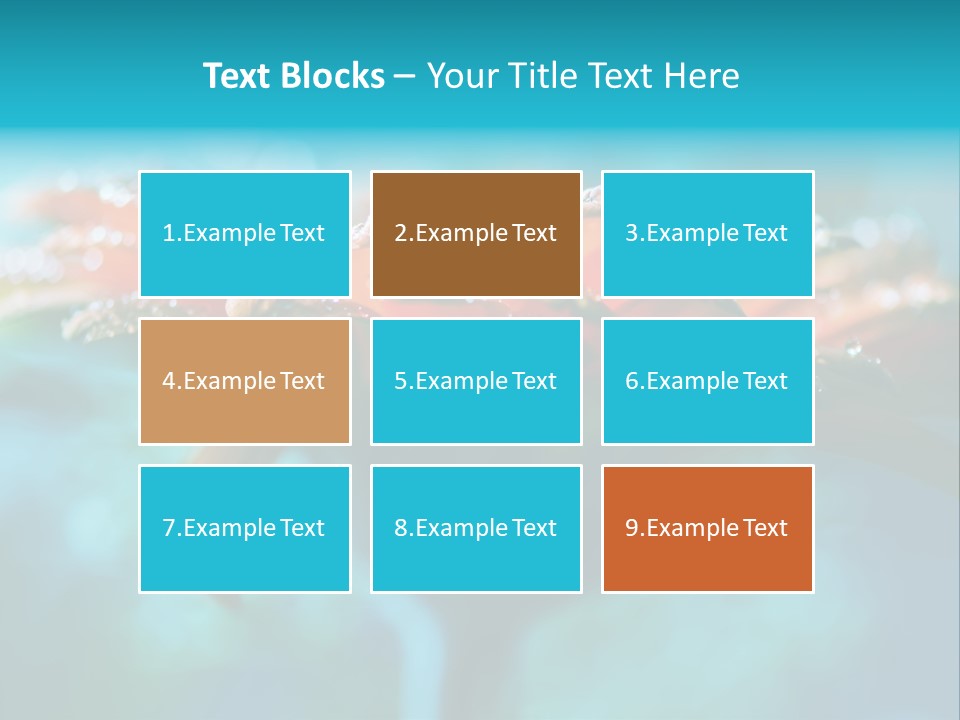 Petal Orange Water PowerPoint Template