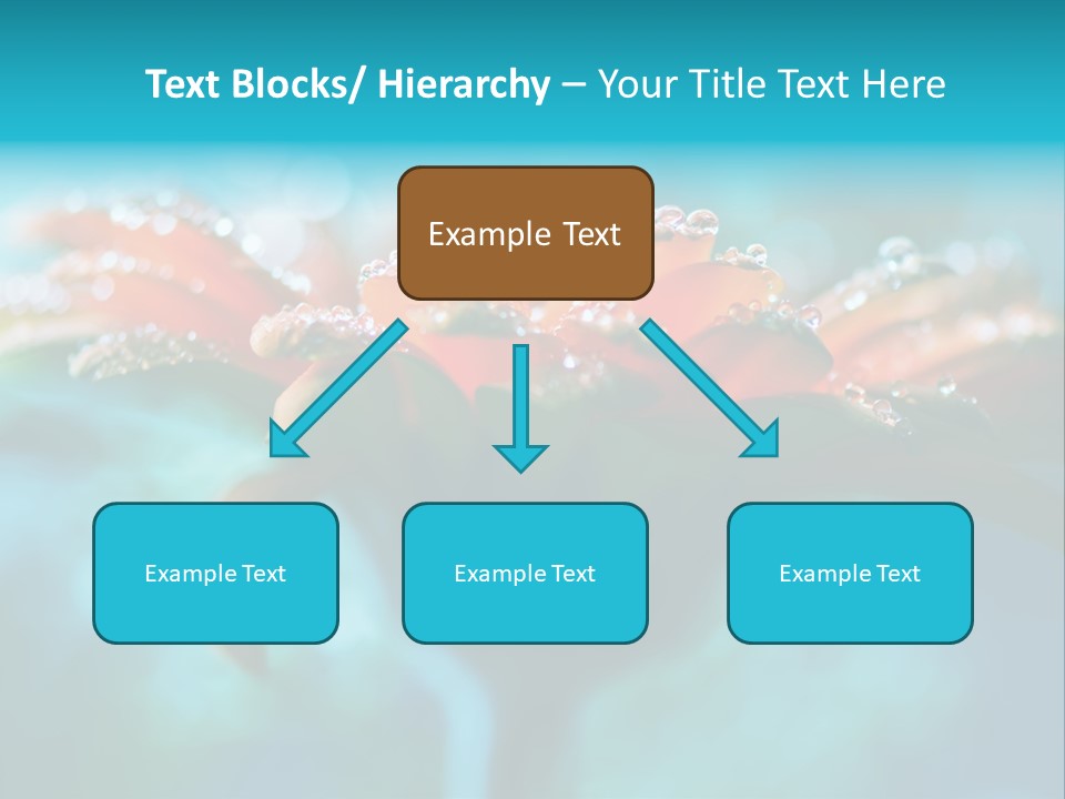 Petal Orange Water PowerPoint Template