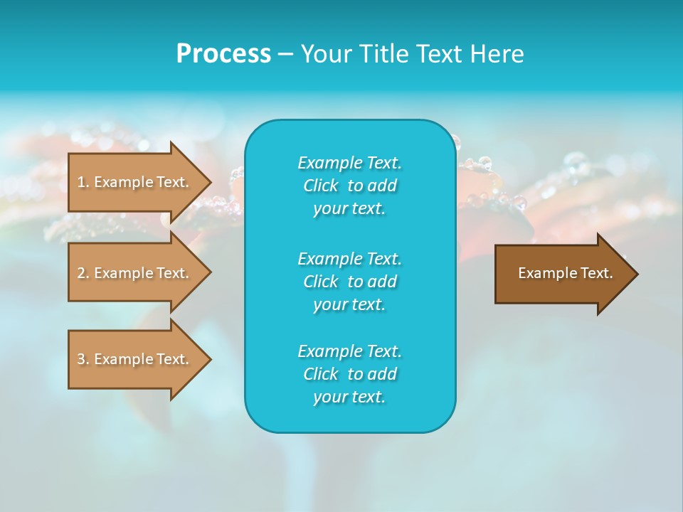 Petal Orange Water PowerPoint Template