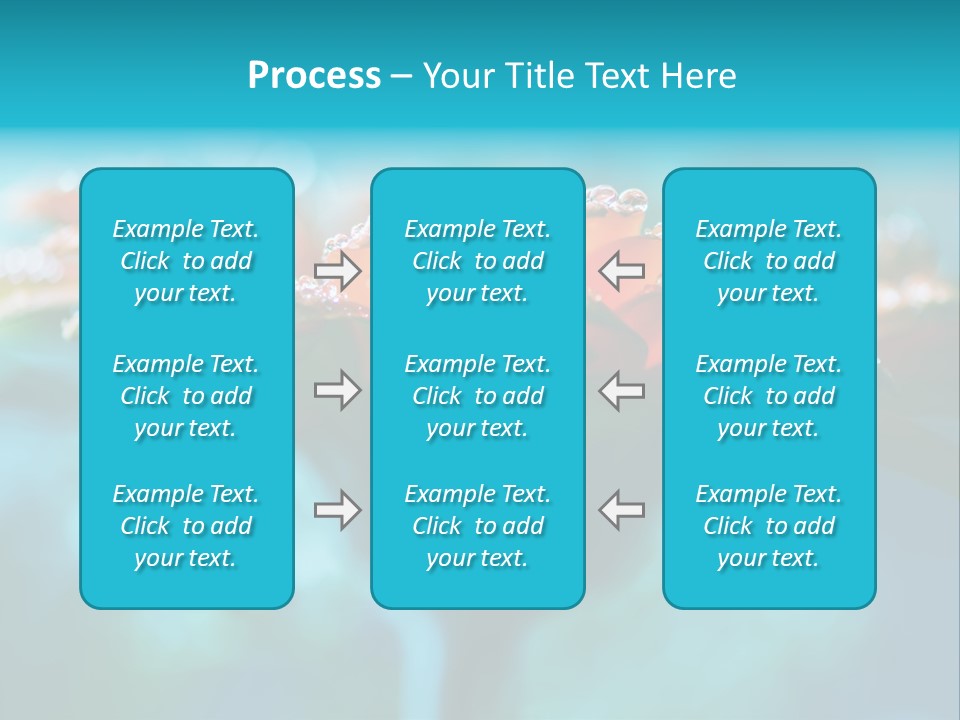 Petal Orange Water PowerPoint Template