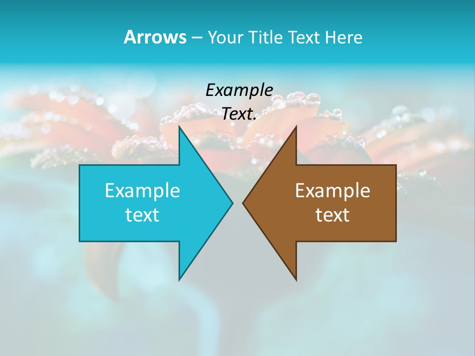 Petal Orange Water PowerPoint Template