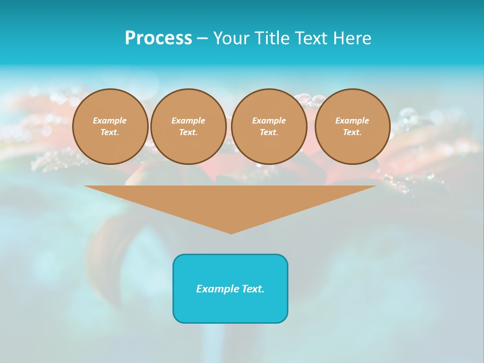 Petal Orange Water PowerPoint Template