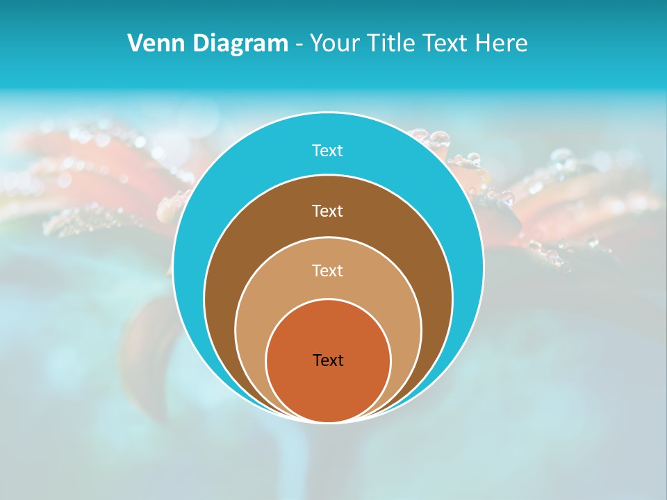 Petal Orange Water PowerPoint Template