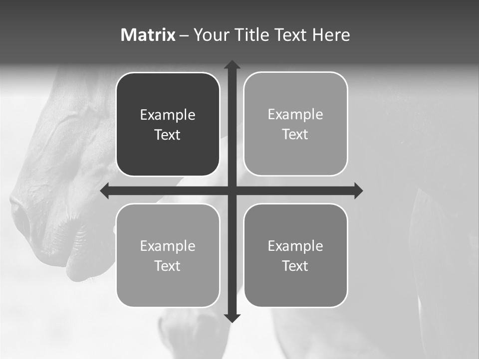 Together Friendship Skin PowerPoint Template