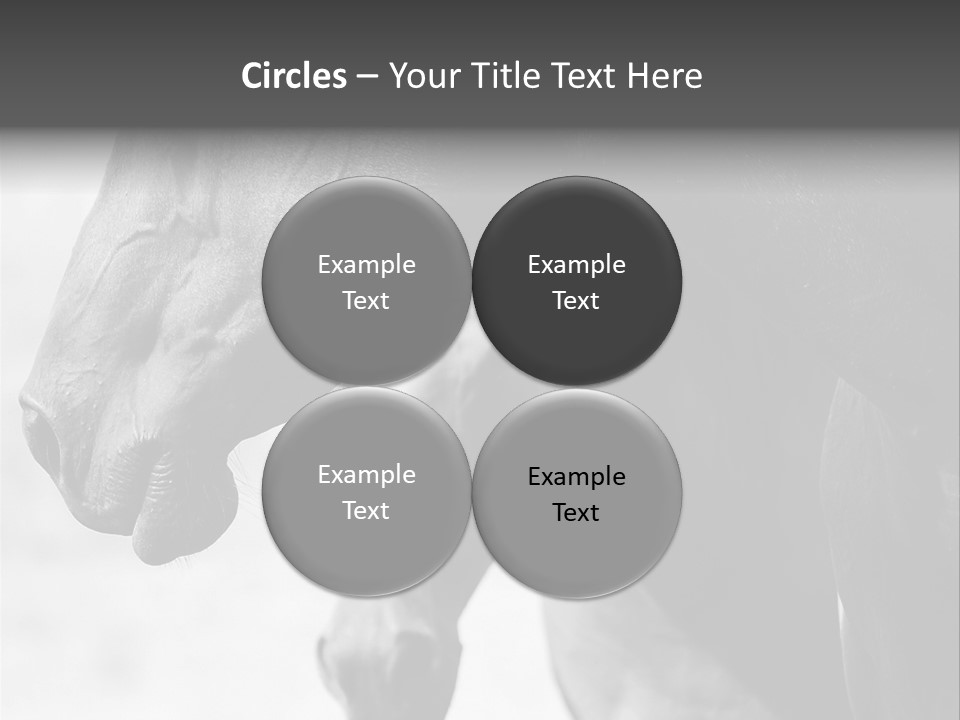 Together Friendship Skin PowerPoint Template