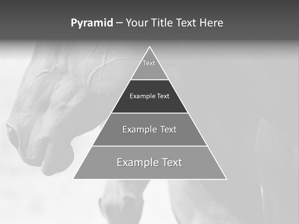 Together Friendship Skin PowerPoint Template