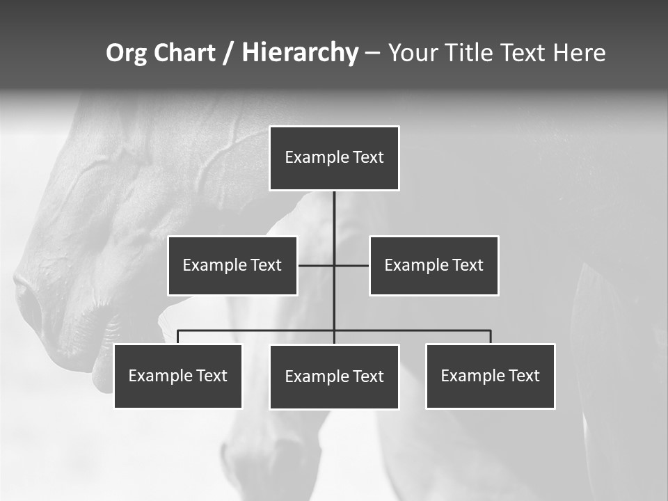 Together Friendship Skin PowerPoint Template