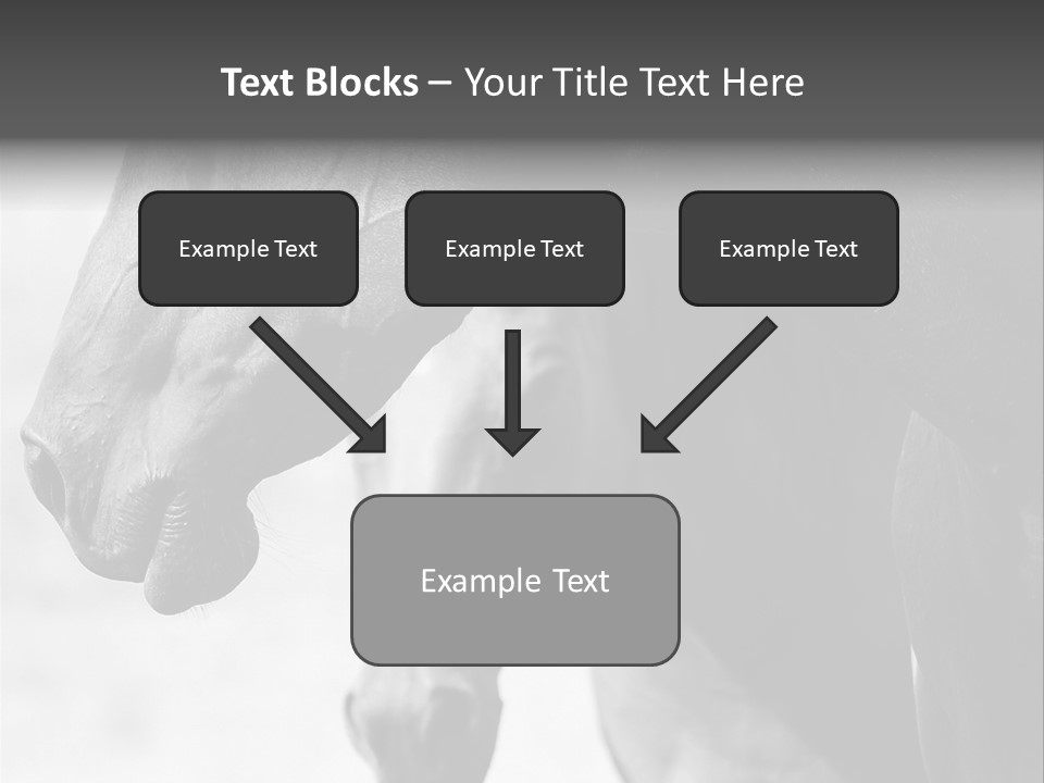 Together Friendship Skin PowerPoint Template