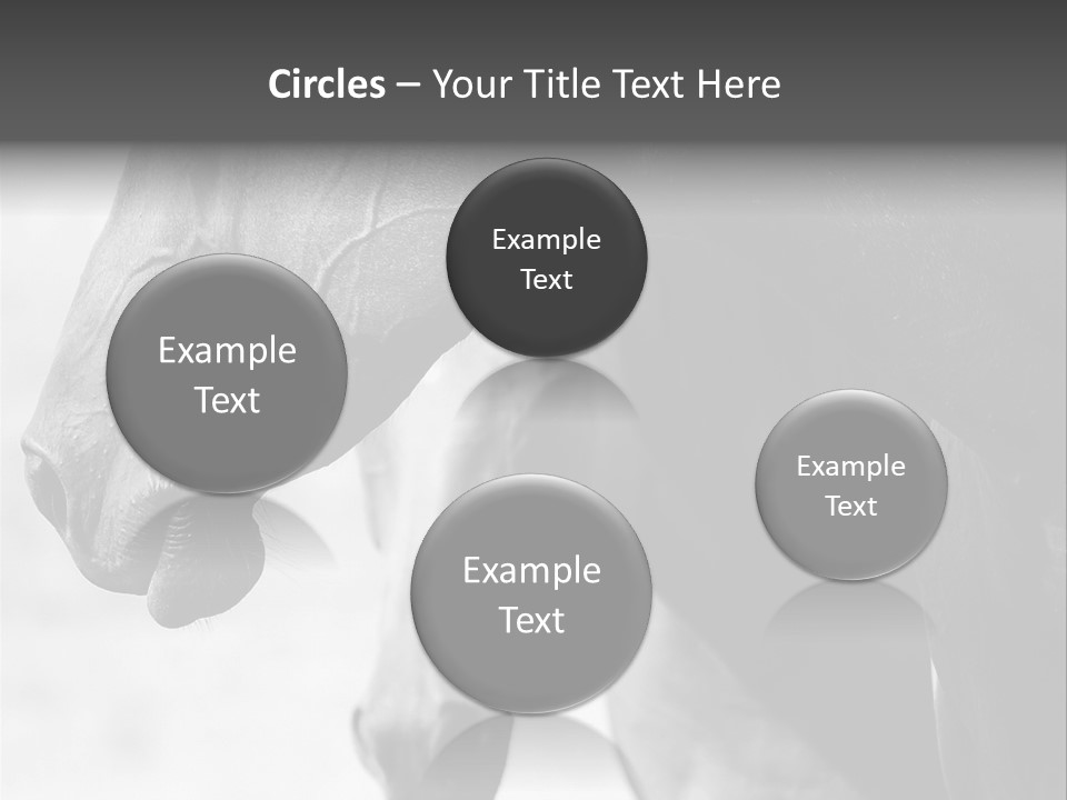 Together Friendship Skin PowerPoint Template