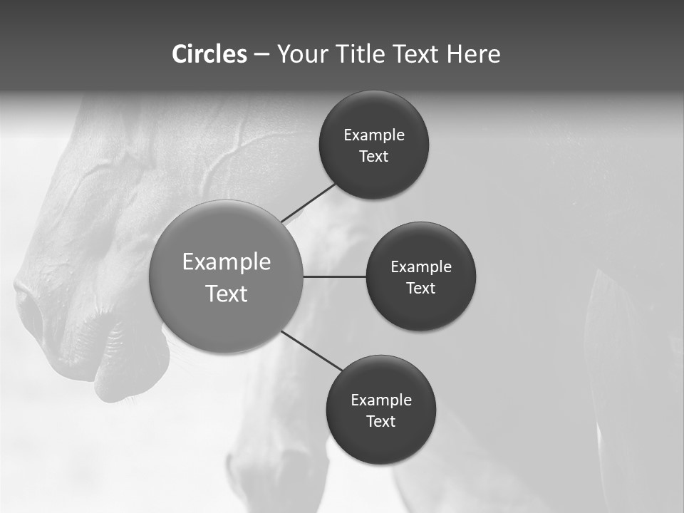 Together Friendship Skin PowerPoint Template