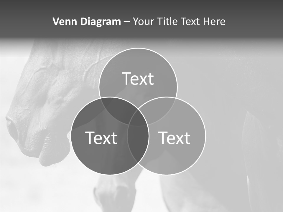 Together Friendship Skin PowerPoint Template