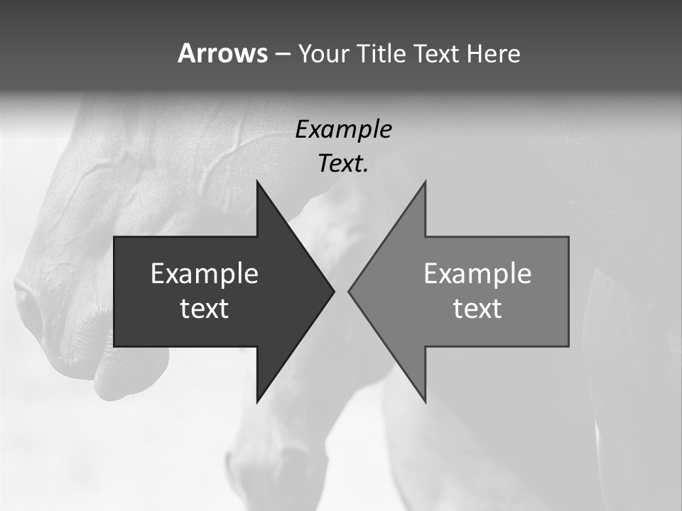 Together Friendship Skin PowerPoint Template