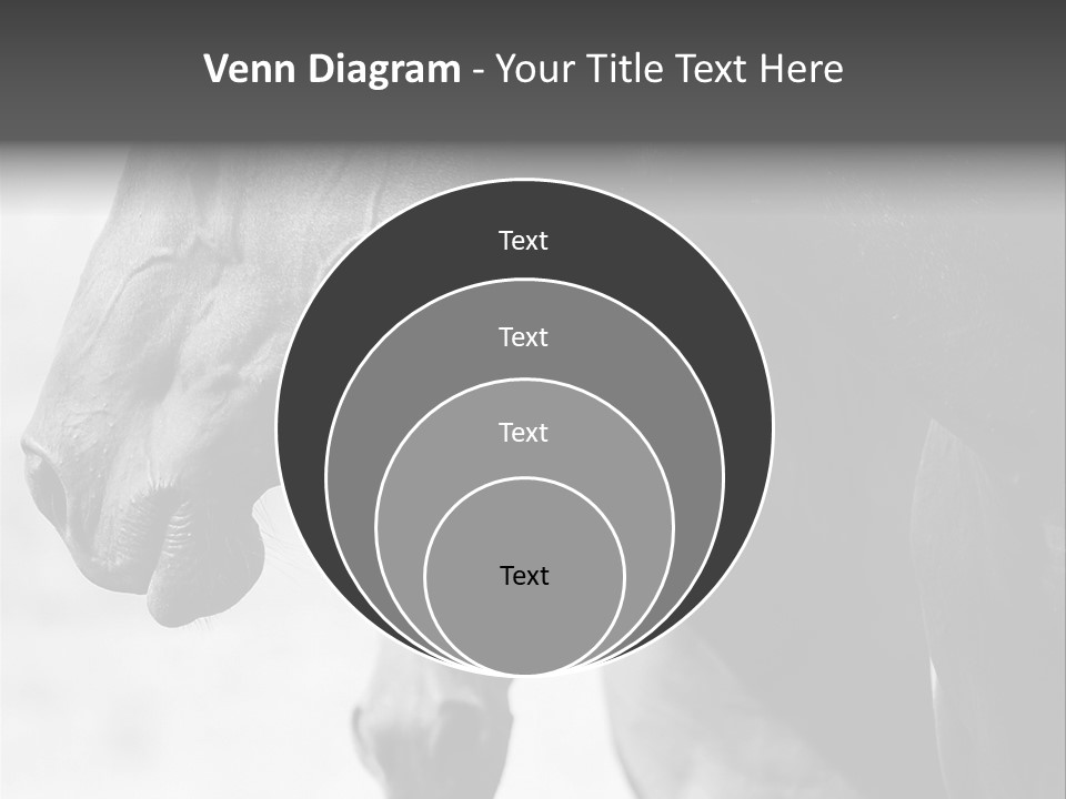 Together Friendship Skin PowerPoint Template