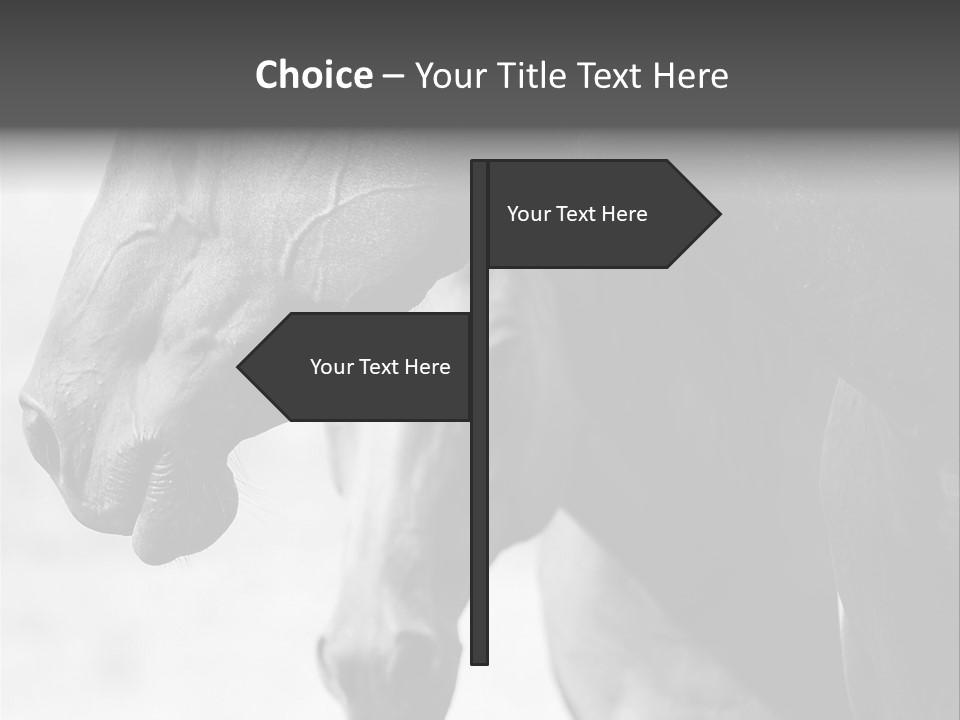 Together Friendship Skin PowerPoint Template