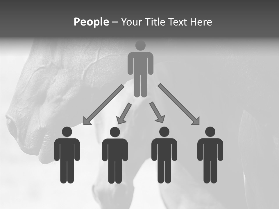 Together Friendship Skin PowerPoint Template