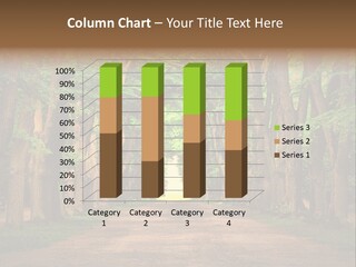 Forest Czech Republic Road PowerPoint Template