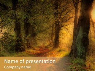 Forest Golden Fairy Tale PowerPoint Template