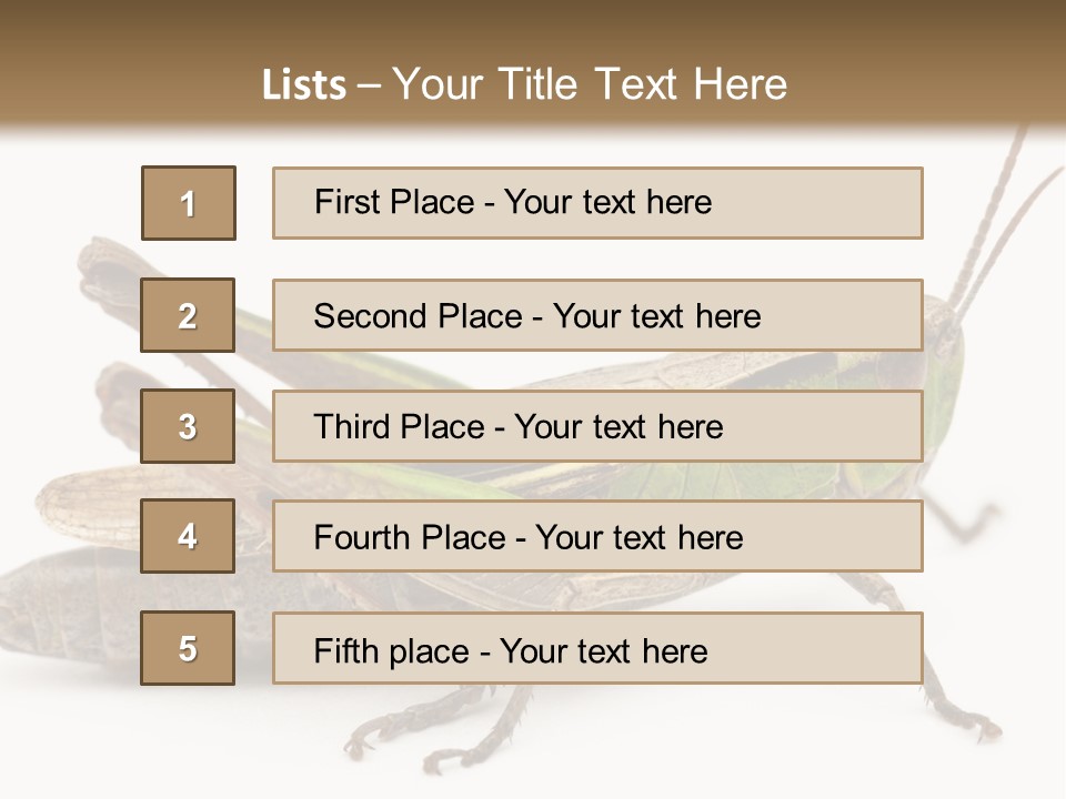 No People Wild Animal Bushcricket PowerPoint Template