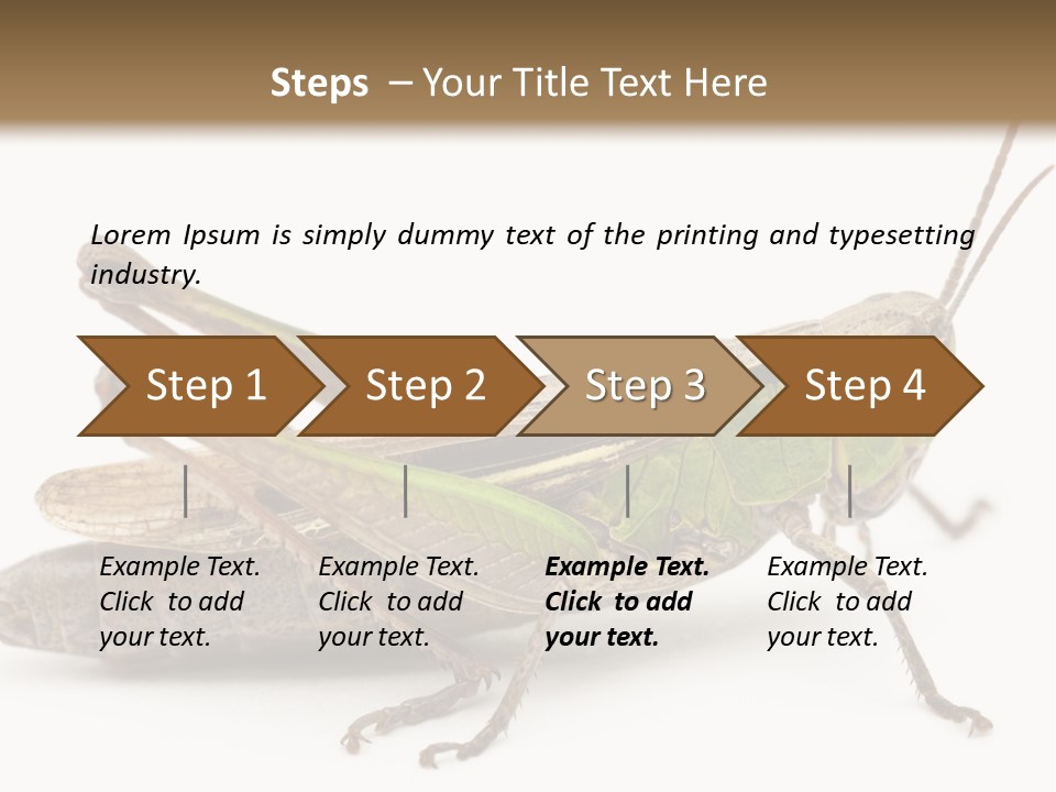 No People Wild Animal Bushcricket PowerPoint Template