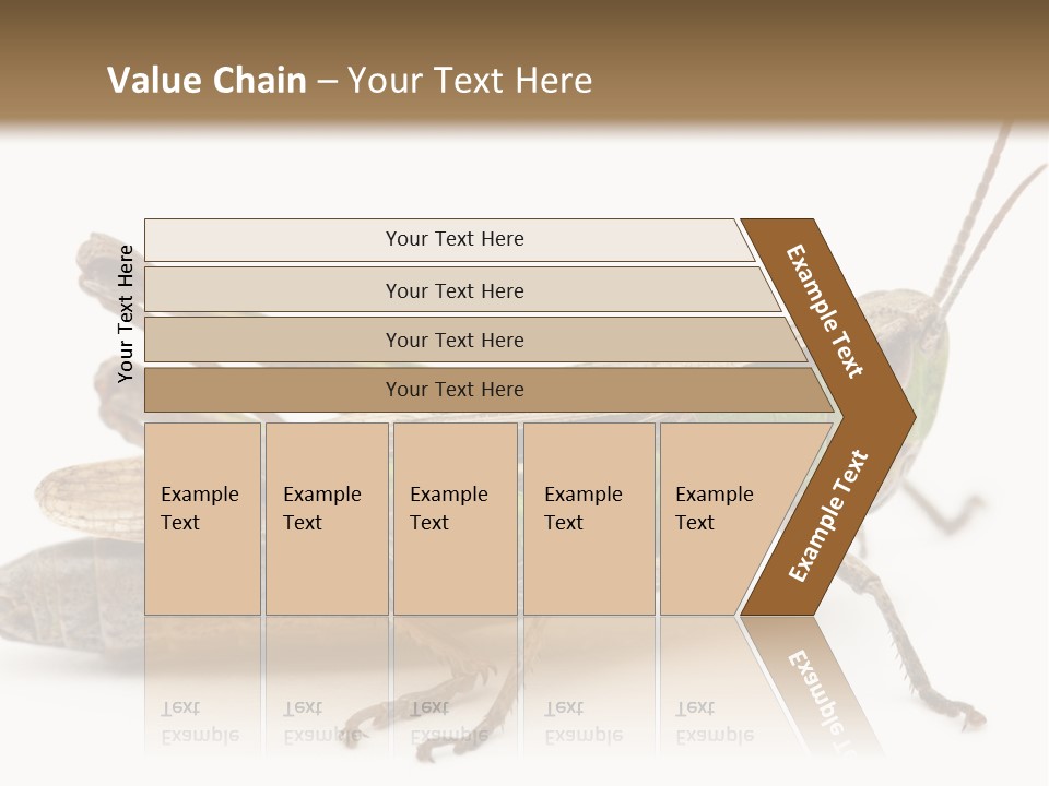 No People Wild Animal Bushcricket PowerPoint Template