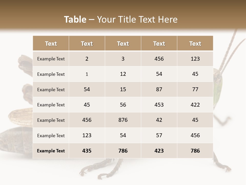 No People Wild Animal Bushcricket PowerPoint Template