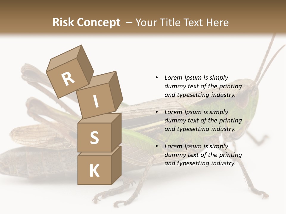 No People Wild Animal Bushcricket PowerPoint Template