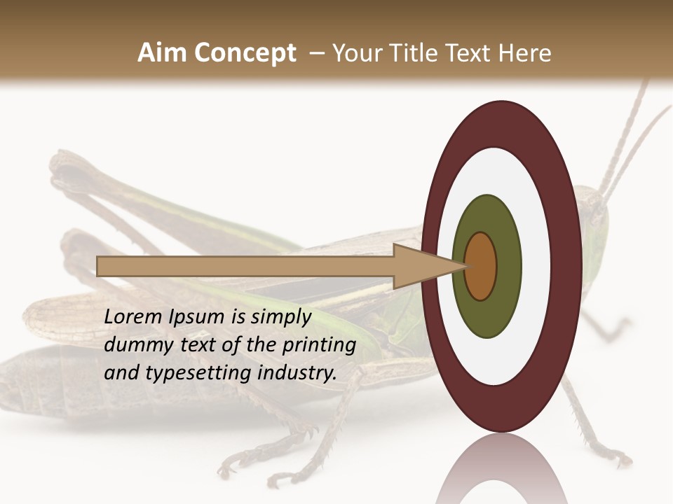 No People Wild Animal Bushcricket PowerPoint Template