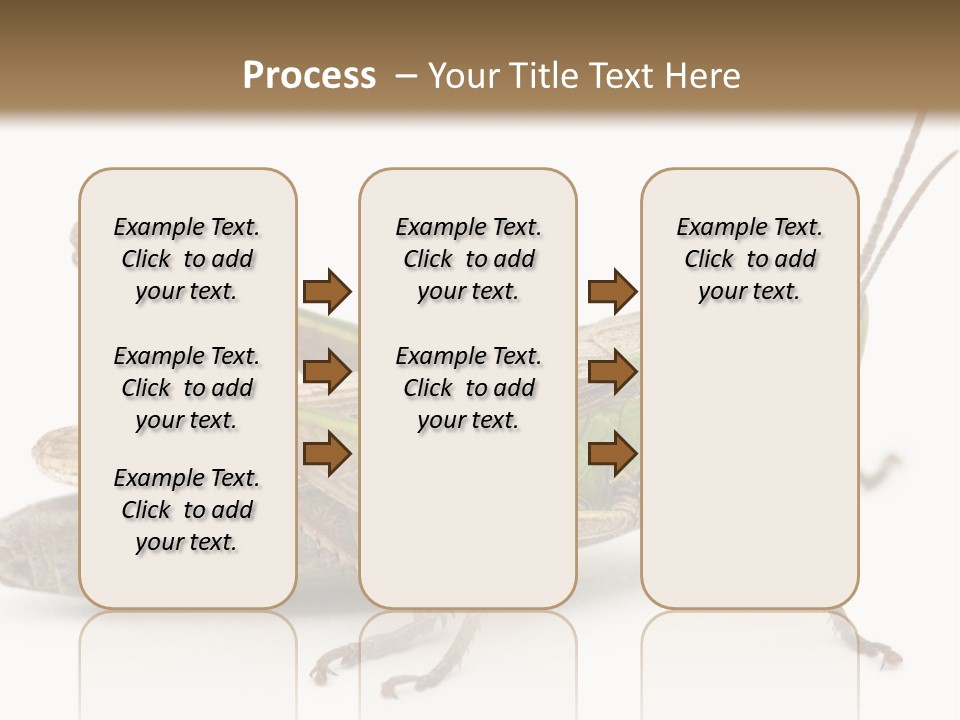 No People Wild Animal Bushcricket PowerPoint Template