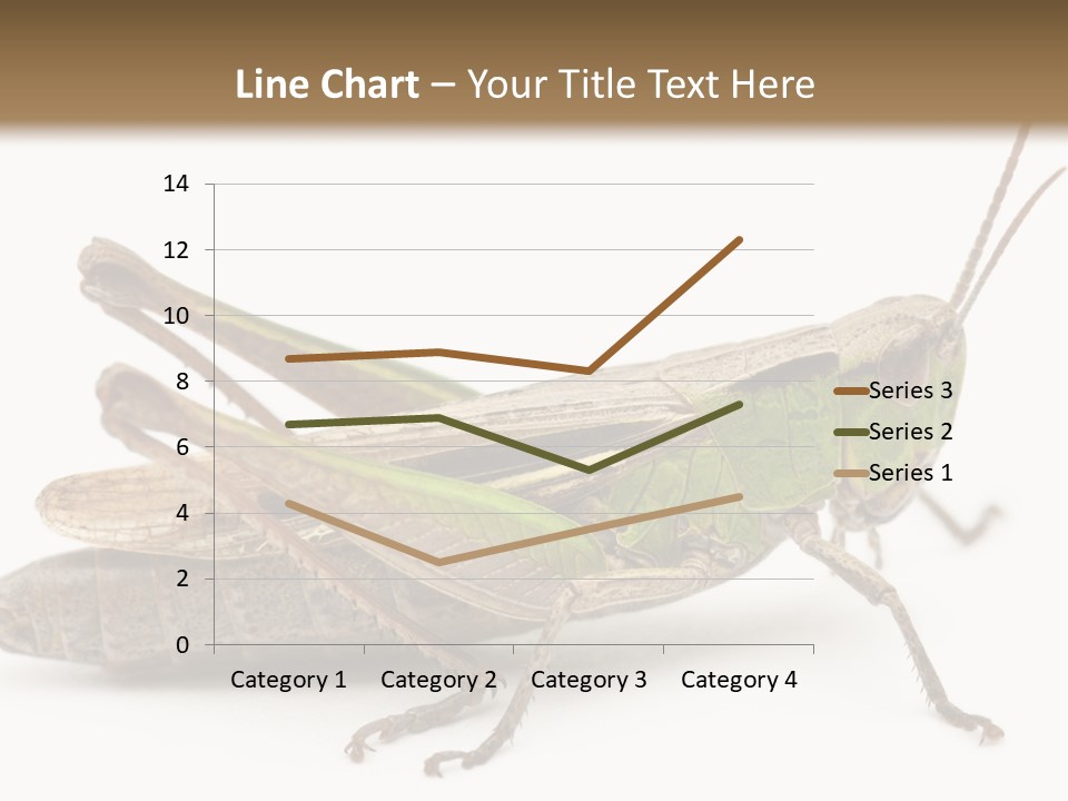 No People Wild Animal Bushcricket PowerPoint Template