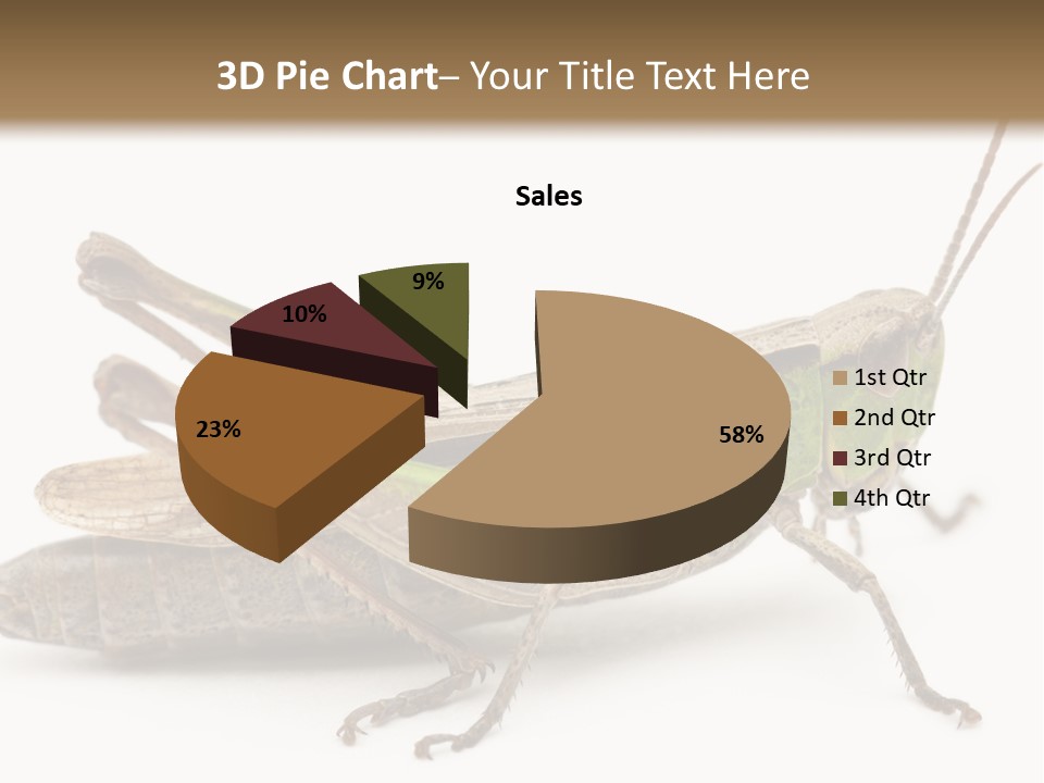 No People Wild Animal Bushcricket PowerPoint Template