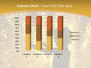 Backlit Fountain Summer PowerPoint Template