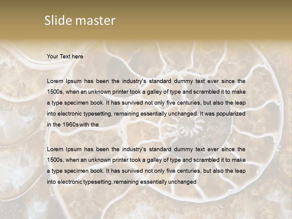 Shell Ammonite Earth PowerPoint Template