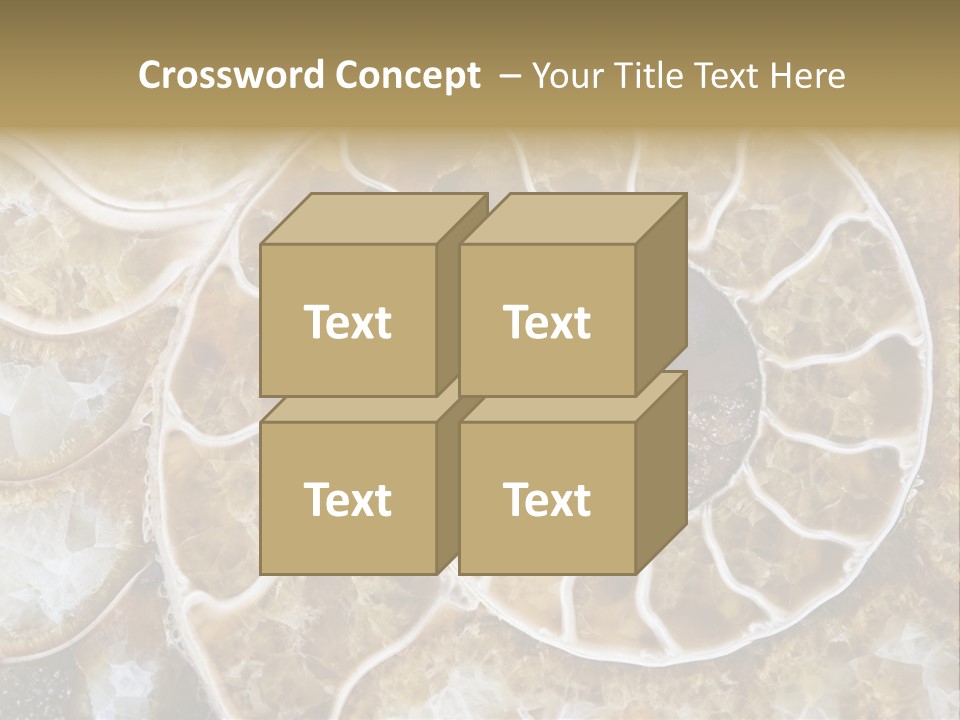 Shell Ammonite Earth PowerPoint Template