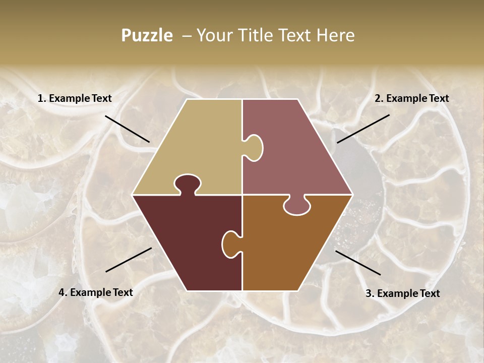 Shell Ammonite Earth PowerPoint Template