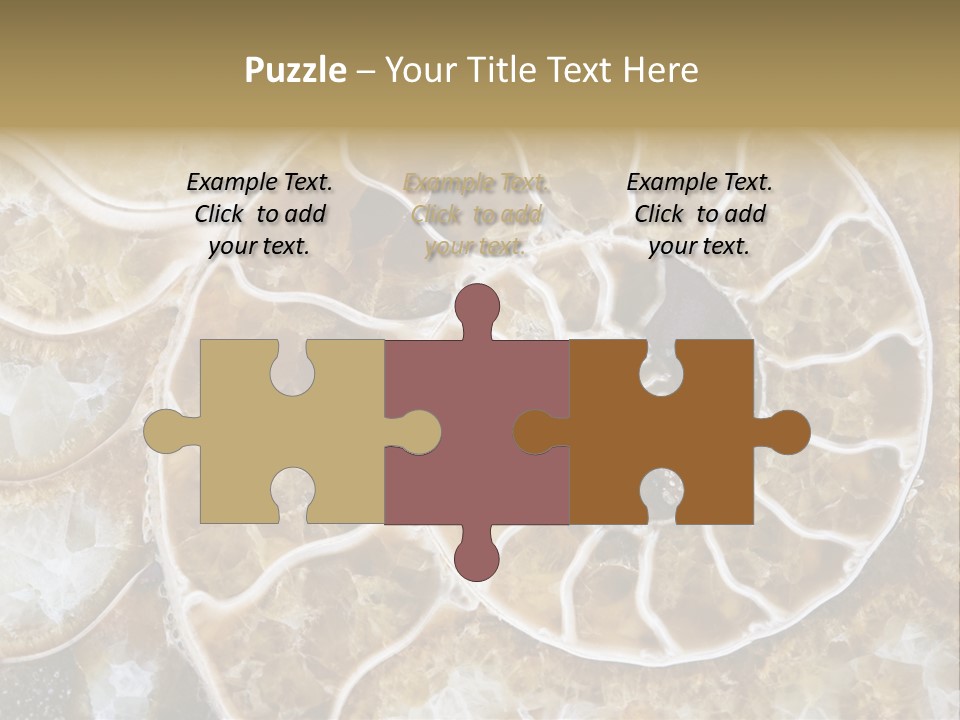 Shell Ammonite Earth PowerPoint Template