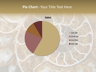 Shell Ammonite Earth PowerPoint Template