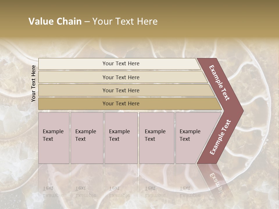 Shell Ammonite Earth PowerPoint Template
