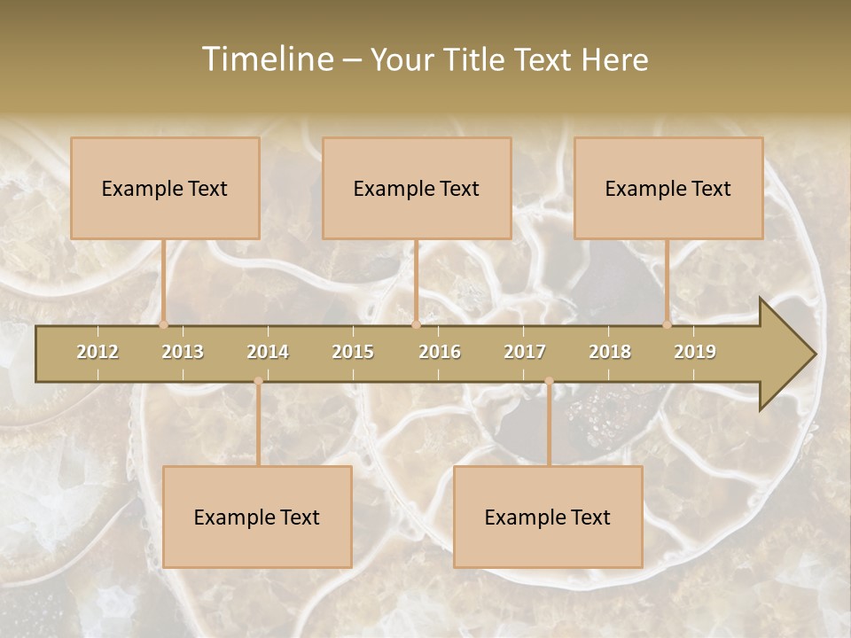 Shell Ammonite Earth PowerPoint Template