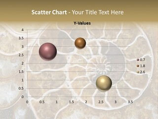 Shell Ammonite Earth PowerPoint Template