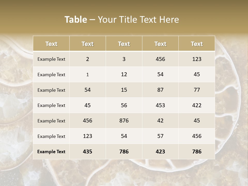 Shell Ammonite Earth PowerPoint Template