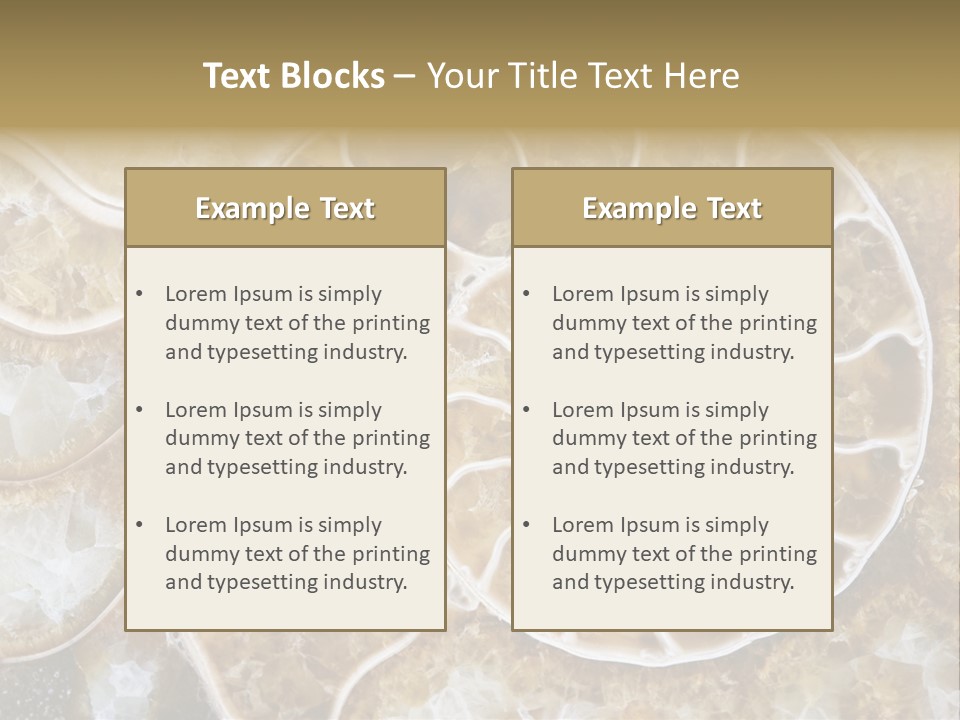Shell Ammonite Earth PowerPoint Template