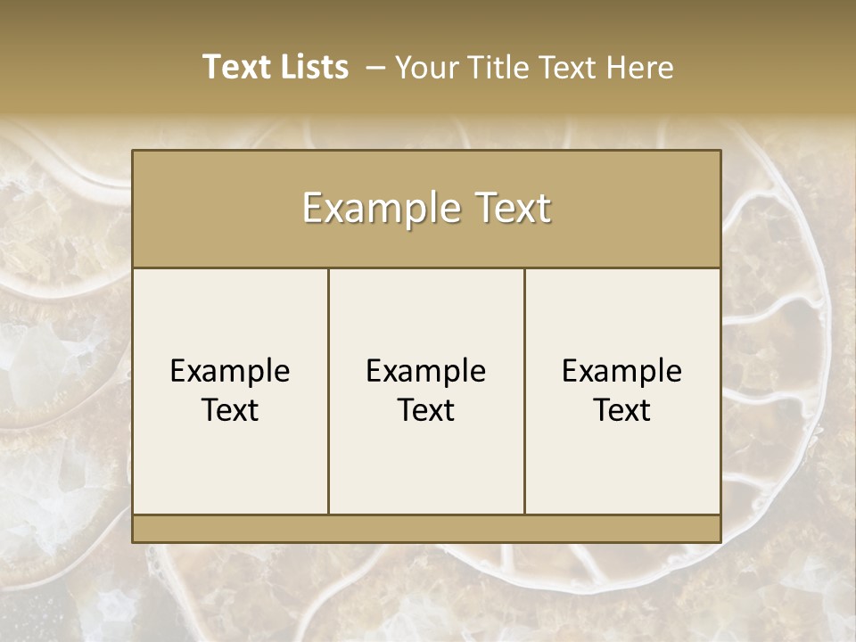 Shell Ammonite Earth PowerPoint Template