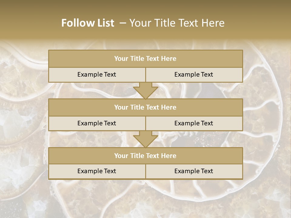 Shell Ammonite Earth PowerPoint Template